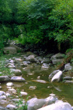 Stream