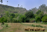 Village