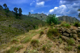 Mountains