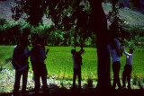 Tourists poaching fruit