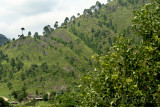 View from Joona