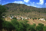 Fields