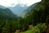 Valley