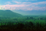 Fields