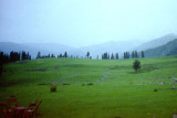 Gulmarg