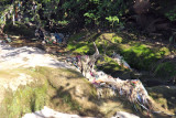 Rubbish in Sehnsa