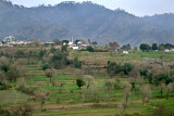 Village