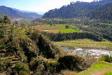 River Mahal