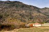 Village