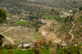 Village