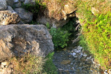 Water spring