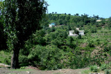 Village
