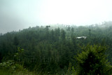 Village