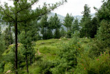 Village
