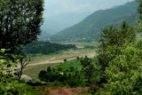 Village