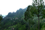 Village