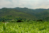 Village