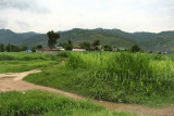 Houses