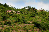 Houses