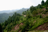 Village