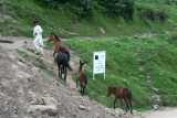 Leading