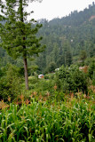 Village