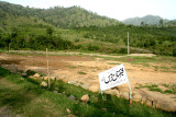 Plot