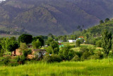Village