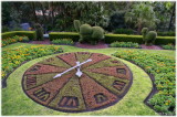 Floral clock