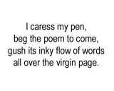 I Caress My Pen
