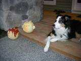 guarding the gourdes