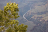 Grand Canyon #3