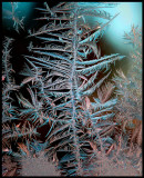 Frost in my cabin window - Ranua