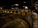 Glenmorangie warehouse with lots of barrels