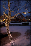 Holiday lightning in River Lagan (running through Vrnamo)