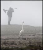 Where is that birdwatcher LG ??