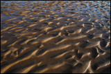 Atlantic low tide - Fuerteventura