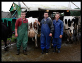 Mobile milkstation - central Sao Miguel