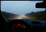 Wet driving on Flores