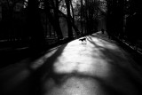 IMG_8810.JPG