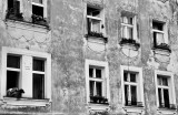 _36_0394.jpg