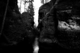 _MG_4805.JPG