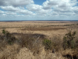 ciew64P9199090.jpg
