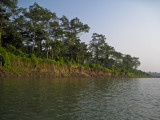 Chitwan Natl Park