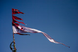 Flags atop Lingaraj