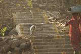 A very small section of steps