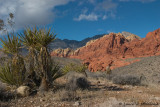 Redrock Canyon