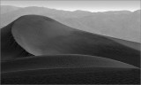 Morning in the Dunes