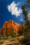 Morning in the Hoodoos