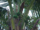 DSC02635.JPG